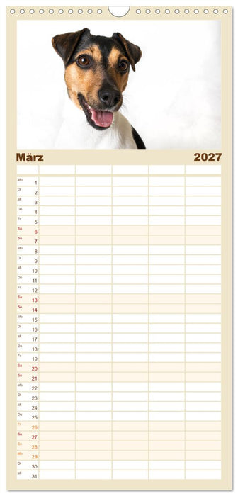 Kleine Hunde - Große Blicke (CALVENDO Familienplaner 2027)