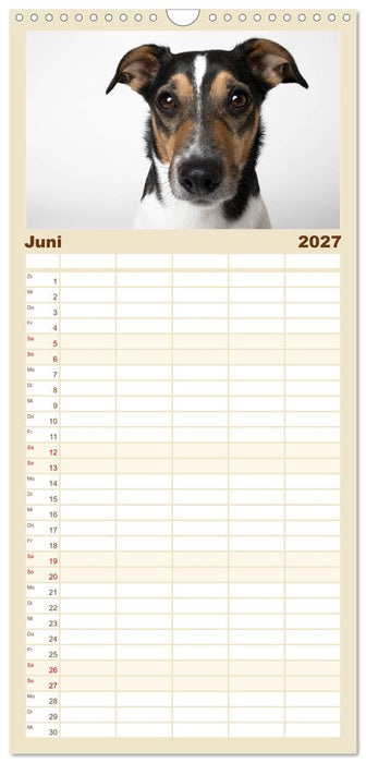 Kleine Hunde - Große Blicke (CALVENDO Familienplaner 2027)