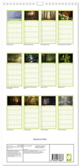 Mysterium Wald (CALVENDO Familienplaner 2027)