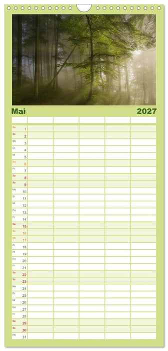 Mysterium Wald (CALVENDO Familienplaner 2027)