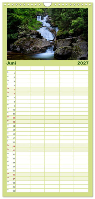 Mysterium Wald (CALVENDO Familienplaner 2027)