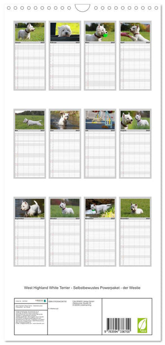 West Highland White Terrier - Selbstbewustes Powerpaket - der Westie (CALVENDO Familienplaner 2027)