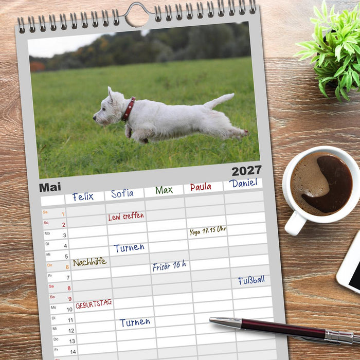 West Highland White Terrier - Selbstbewustes Powerpaket - der Westie (CALVENDO Familienplaner 2027)