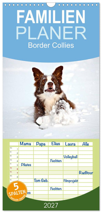 Border Collies (CALVENDO Familienplaner 2027)