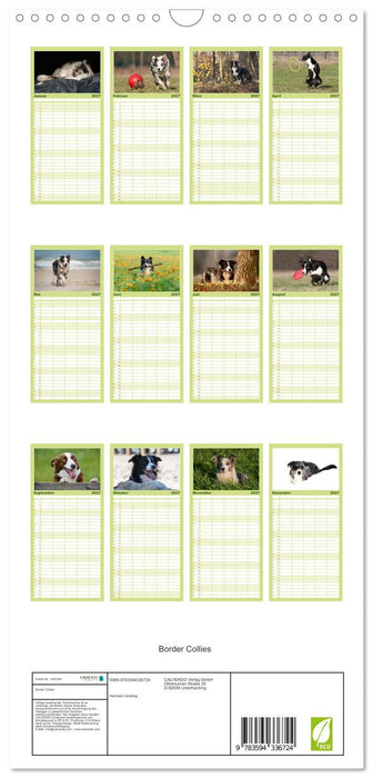 Border Collies (CALVENDO Familienplaner 2027)