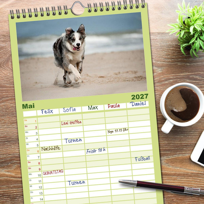 Border Collies (CALVENDO Familienplaner 2027)