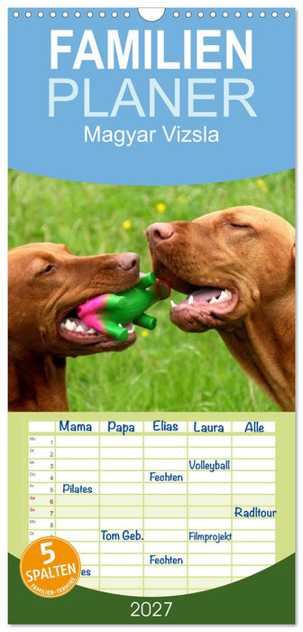 Magyar Vizsla (CALVENDO Familienplaner 2027)