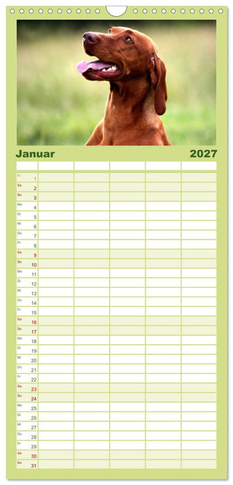 Magyar Vizsla (CALVENDO Familienplaner 2027)