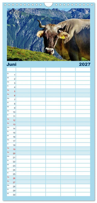 Alpenüberquerung (CALVENDO Familienplaner 2027)