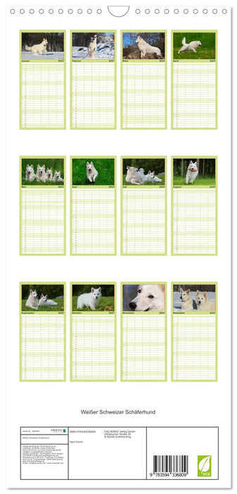 Weißer Schweizer Schäferhund (CALVENDO Familienplaner 2027)