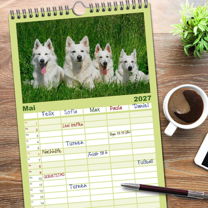 Weißer Schweizer Schäferhund (CALVENDO Familienplaner 2027)