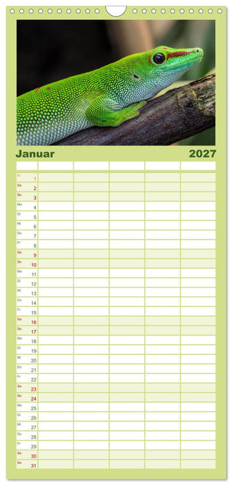 Echsen - Schuppige Überlebenskünstler (CALVENDO Familienplaner 2027)