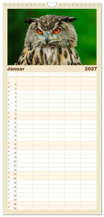 Eulen. Gefiederte Weisheit (CALVENDO Familienplaner 2027)