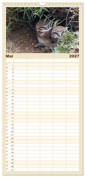 Eulen. Gefiederte Weisheit (CALVENDO Familienplaner 2027)