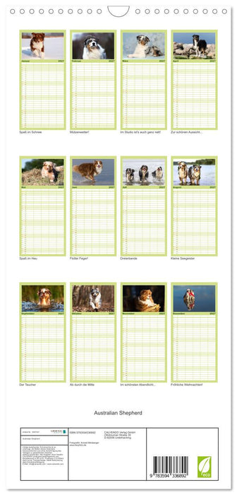 Australian Shepherd (CALVENDO Familienplaner 2027)