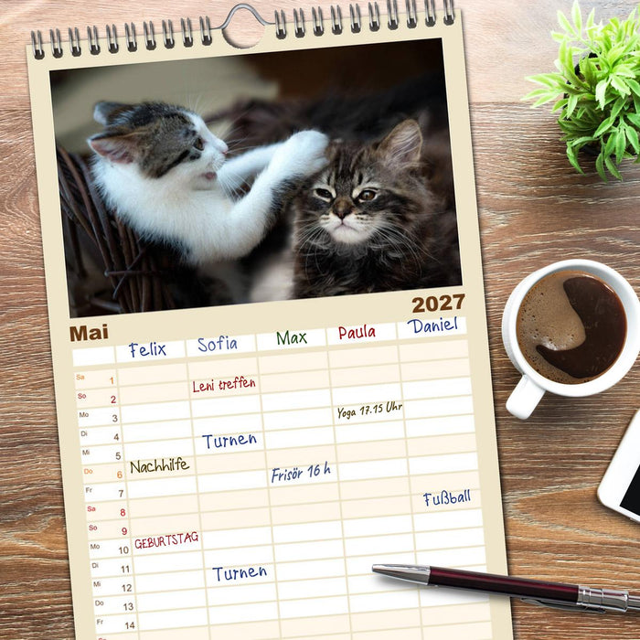 Katzenbabys beobachtet (CALVENDO Familienplaner 2027)