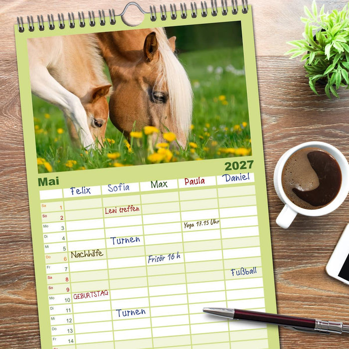 Haflinger Fohlen (CALVENDO Familienplaner 2027)