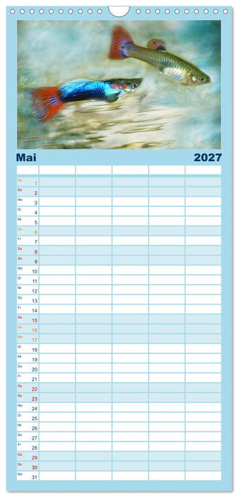 Fischwelt - Artwork (CALVENDO Familienplaner 2027)