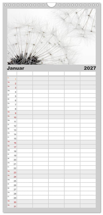 Filigrane Pusteblumen / Geburtstagskalender (CALVENDO Familienplaner 2027)