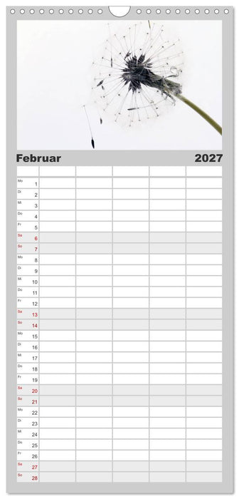 Filigrane Pusteblumen / Geburtstagskalender (CALVENDO Familienplaner 2027)