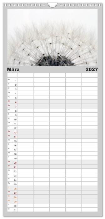 Filigrane Pusteblumen / Geburtstagskalender (CALVENDO Familienplaner 2027)