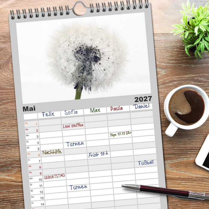 Filigrane Pusteblumen / Geburtstagskalender (CALVENDO Familienplaner 2027)