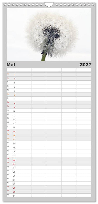 Filigrane Pusteblumen / Geburtstagskalender (CALVENDO Familienplaner 2027)