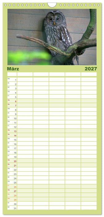 Eulen (CALVENDO Familienplaner 2027)