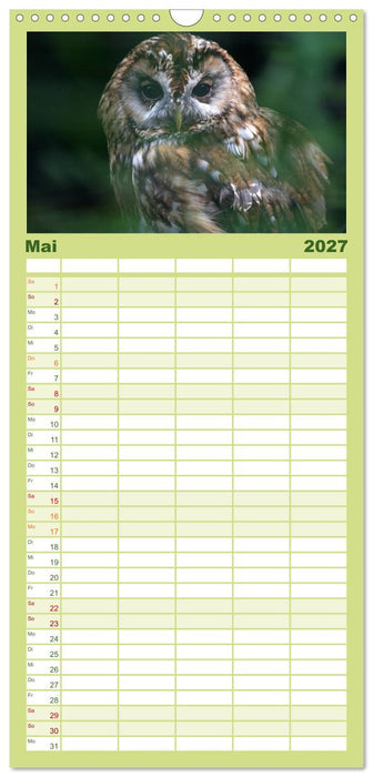 Eulen (CALVENDO Familienplaner 2027)