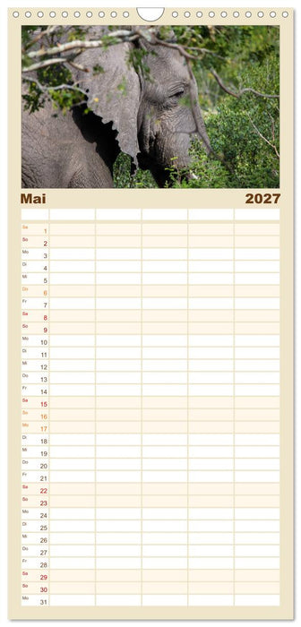 begegnungen - elefanten im südlichen afrika (CALVENDO Familienplaner 2027)