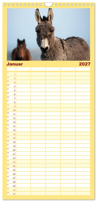 Esel - hübsch, klug und fleißig (CALVENDO Familienplaner 2027)