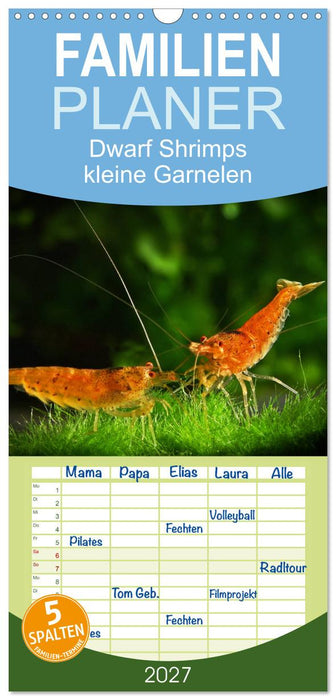 Dwarf Shrimps - kleine Garnelen (CALVENDO Familienplaner 2027)