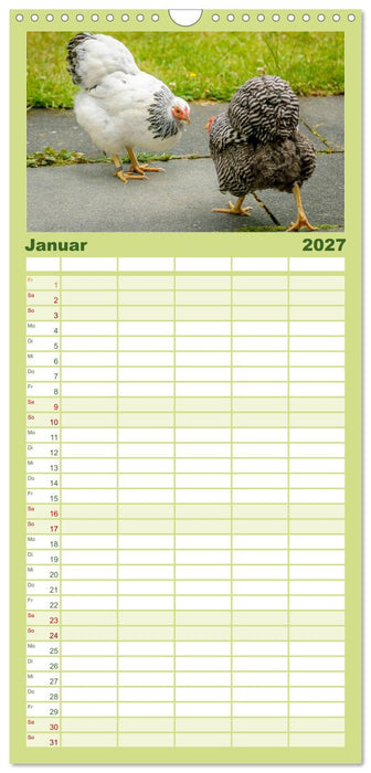 Gartenhühner (CALVENDO Familienplaner 2027)