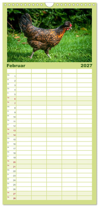 Gartenhühner (CALVENDO Familienplaner 2027)