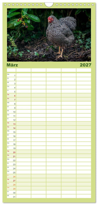 Gartenhühner (CALVENDO Familienplaner 2027)