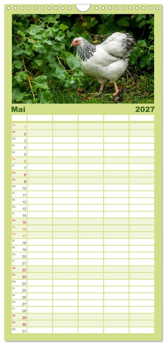 Gartenhühner (CALVENDO Familienplaner 2027)