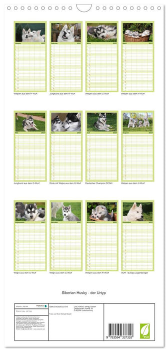 Siberian Husky - der Urtyp (CALVENDO Familienplaner 2027)