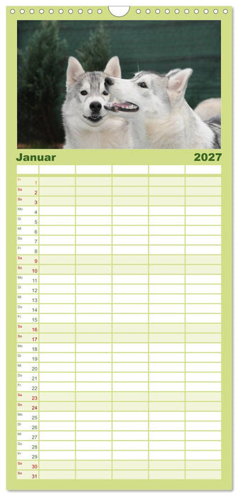 Siberian Husky - der Urtyp (CALVENDO Familienplaner 2027)