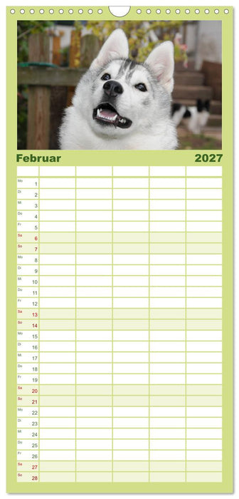 Siberian Husky - der Urtyp (CALVENDO Familienplaner 2027)