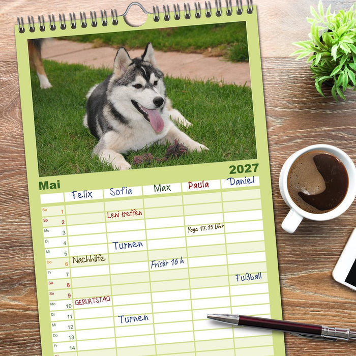 Siberian Husky - der Urtyp (CALVENDO Familienplaner 2027)