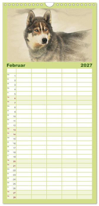 Schlittenhunde 2027 (CALVENDO Familienplaner 2027)