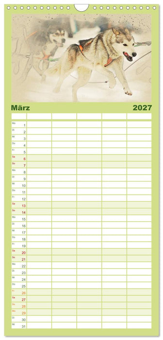 Schlittenhunde 2027 (CALVENDO Familienplaner 2027)