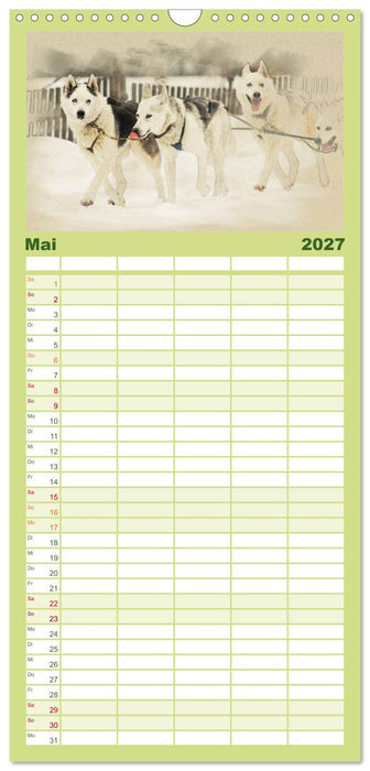 Schlittenhunde 2027 (CALVENDO Familienplaner 2027)