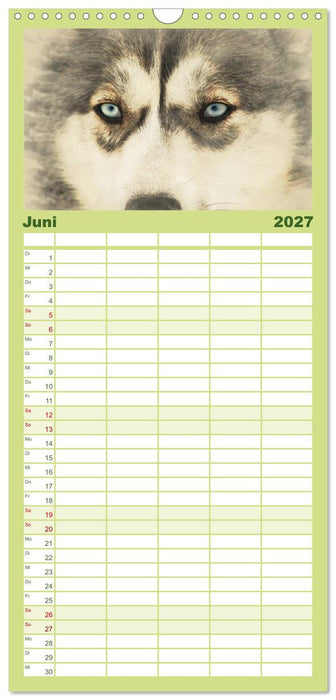 Schlittenhunde 2027 (CALVENDO Familienplaner 2027)