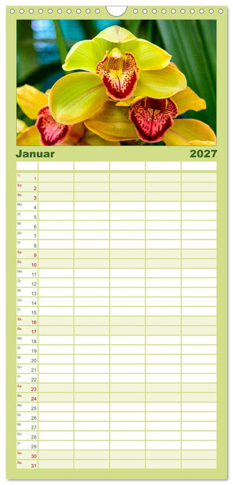 Wunderbare Orchideen (CALVENDO Familienplaner 2027)