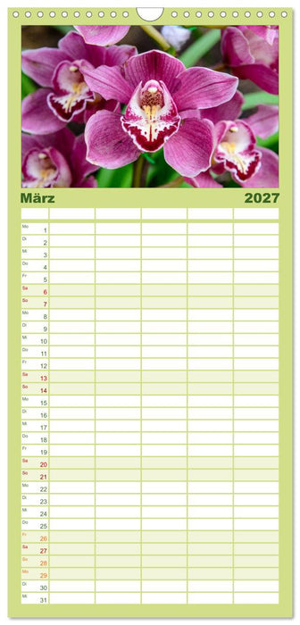 Wunderbare Orchideen (CALVENDO Familienplaner 2027)
