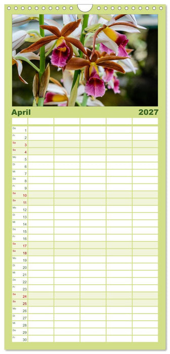 Wunderbare Orchideen (CALVENDO Familienplaner 2027)