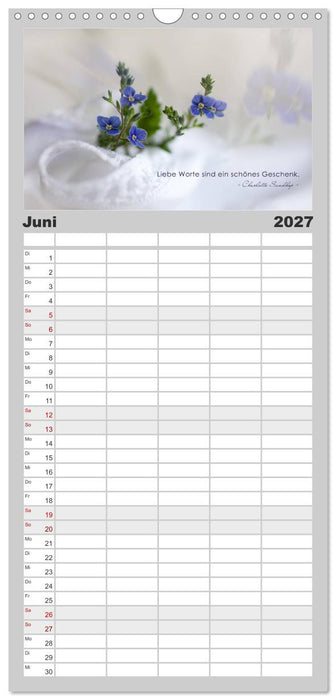 Mit guten Gedanken durch das Jahr (CALVENDO Familienplaner 2027)