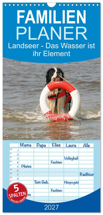 Landseer - Das Wasser ist ihr Element (CALVENDO Familienplaner 2027)