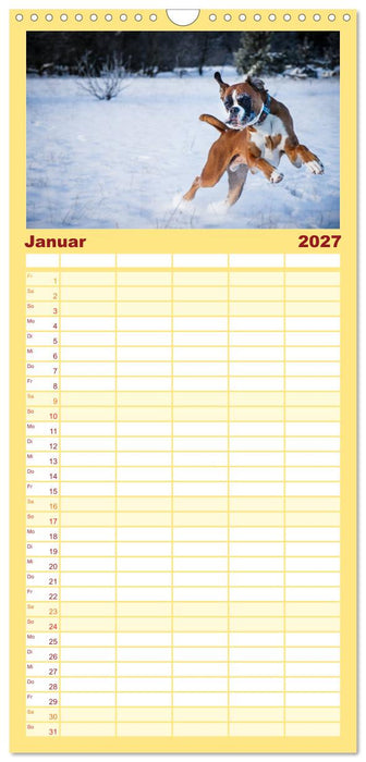 Deutscher Boxer 2027 (CALVENDO Familienplaner 2027)